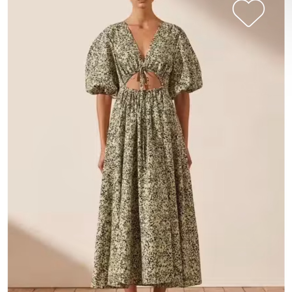 Shona Joy Dress
